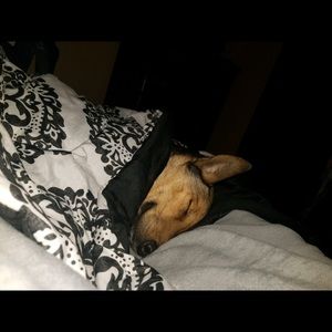 Meet your Posher, Janet